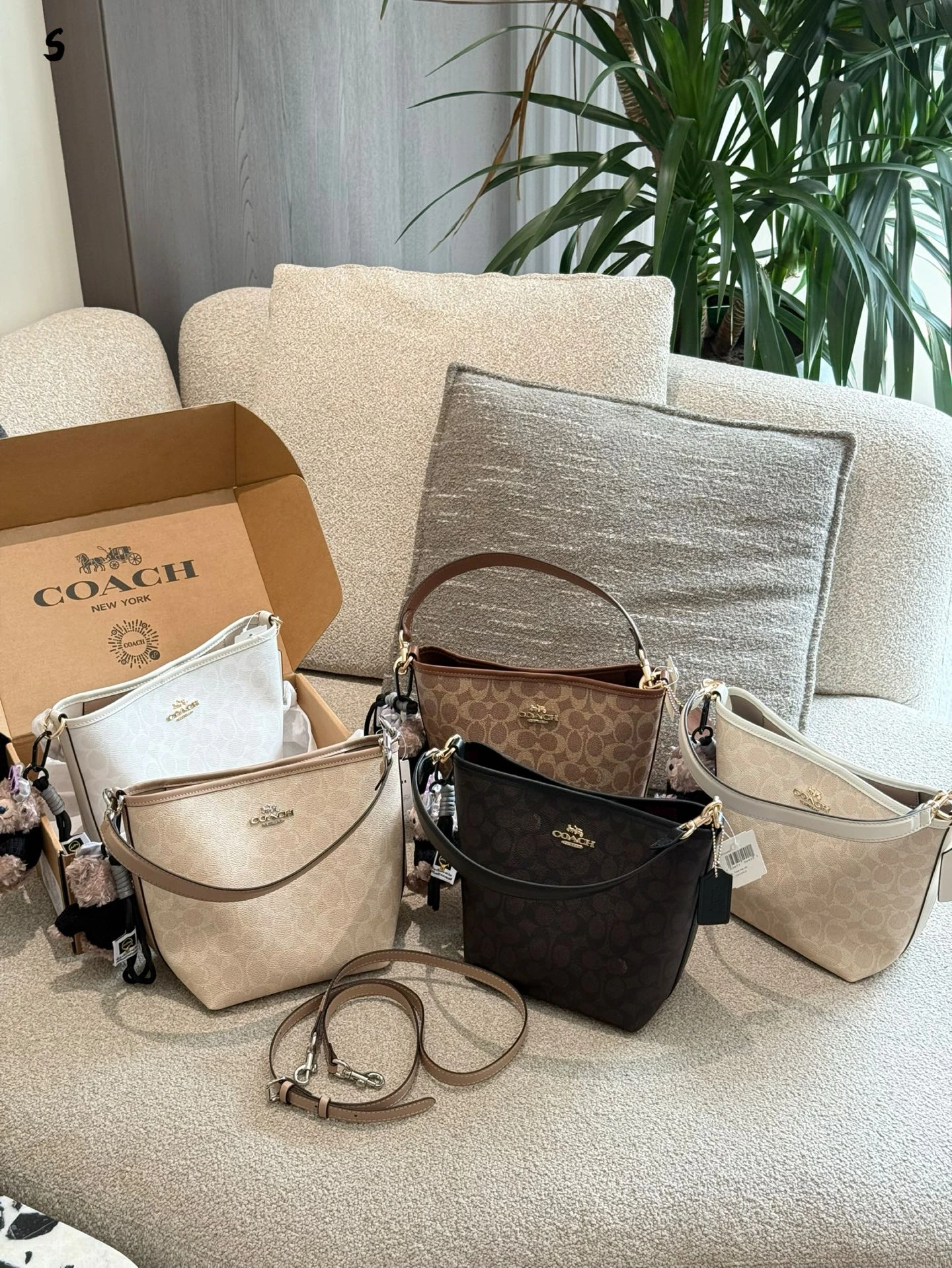 COACH(コーチ) 新作 NEW City バケットバッグ