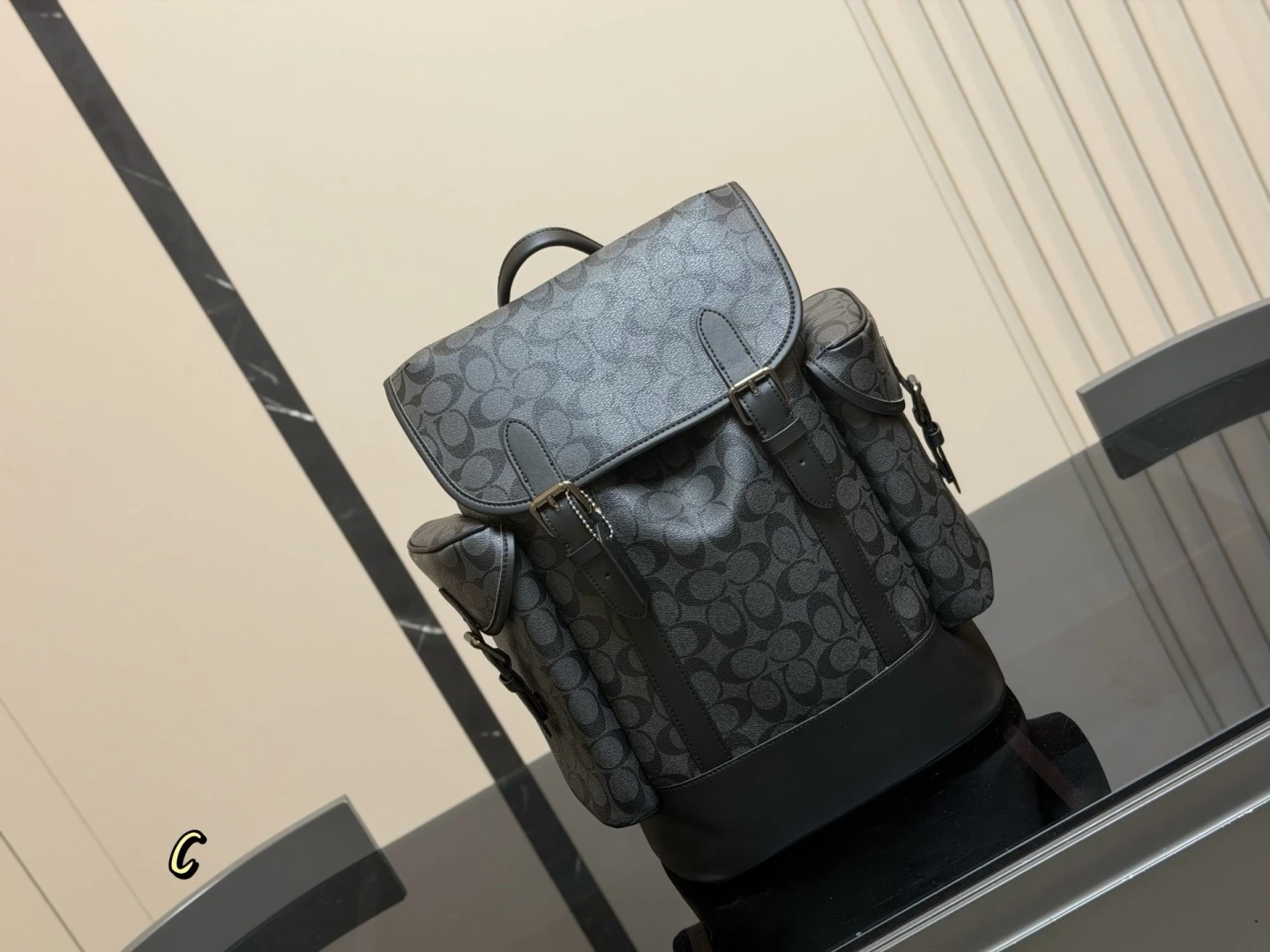 Coach（コーチ） バックパック