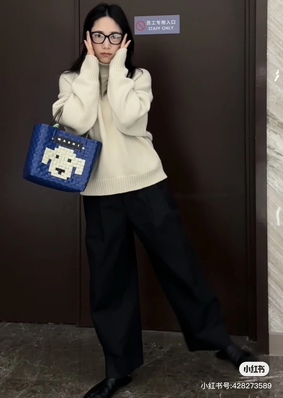 マルニの買い物かご/かわいい子犬
